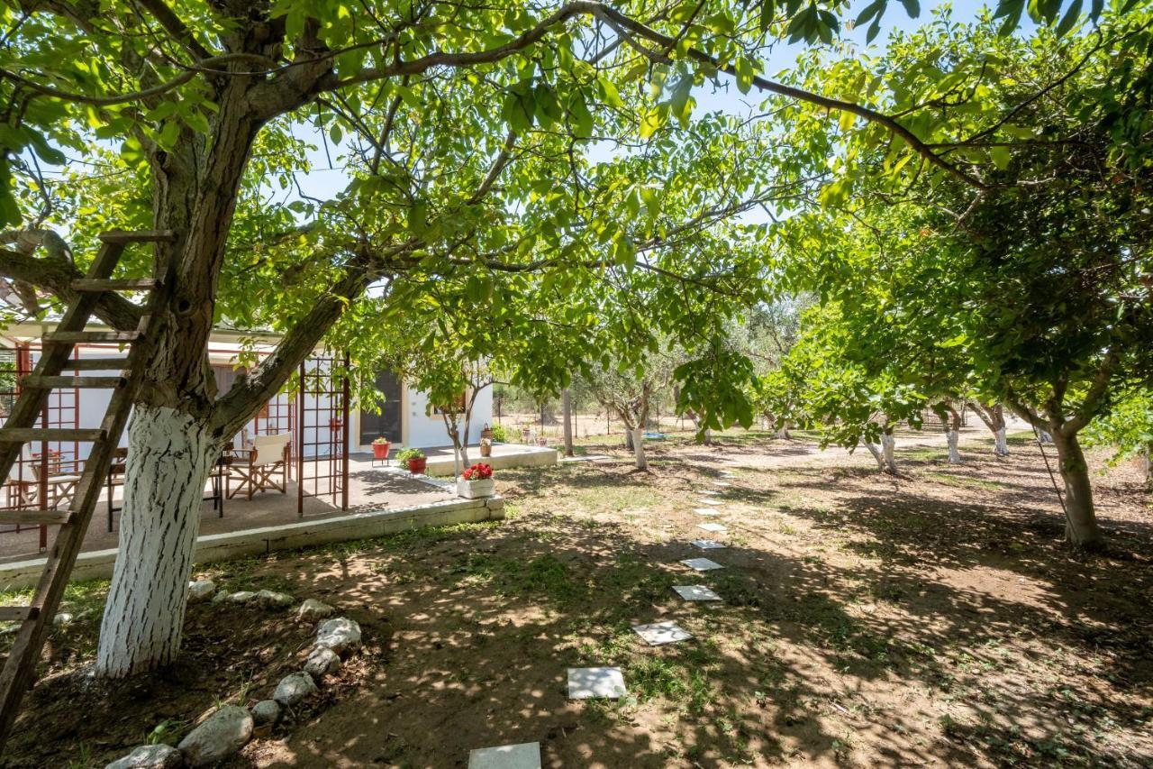 Nagia'S House, Εξοχική Κατοικία Κοντά Στη Θάλασσα! Korakochori Bagian luar foto