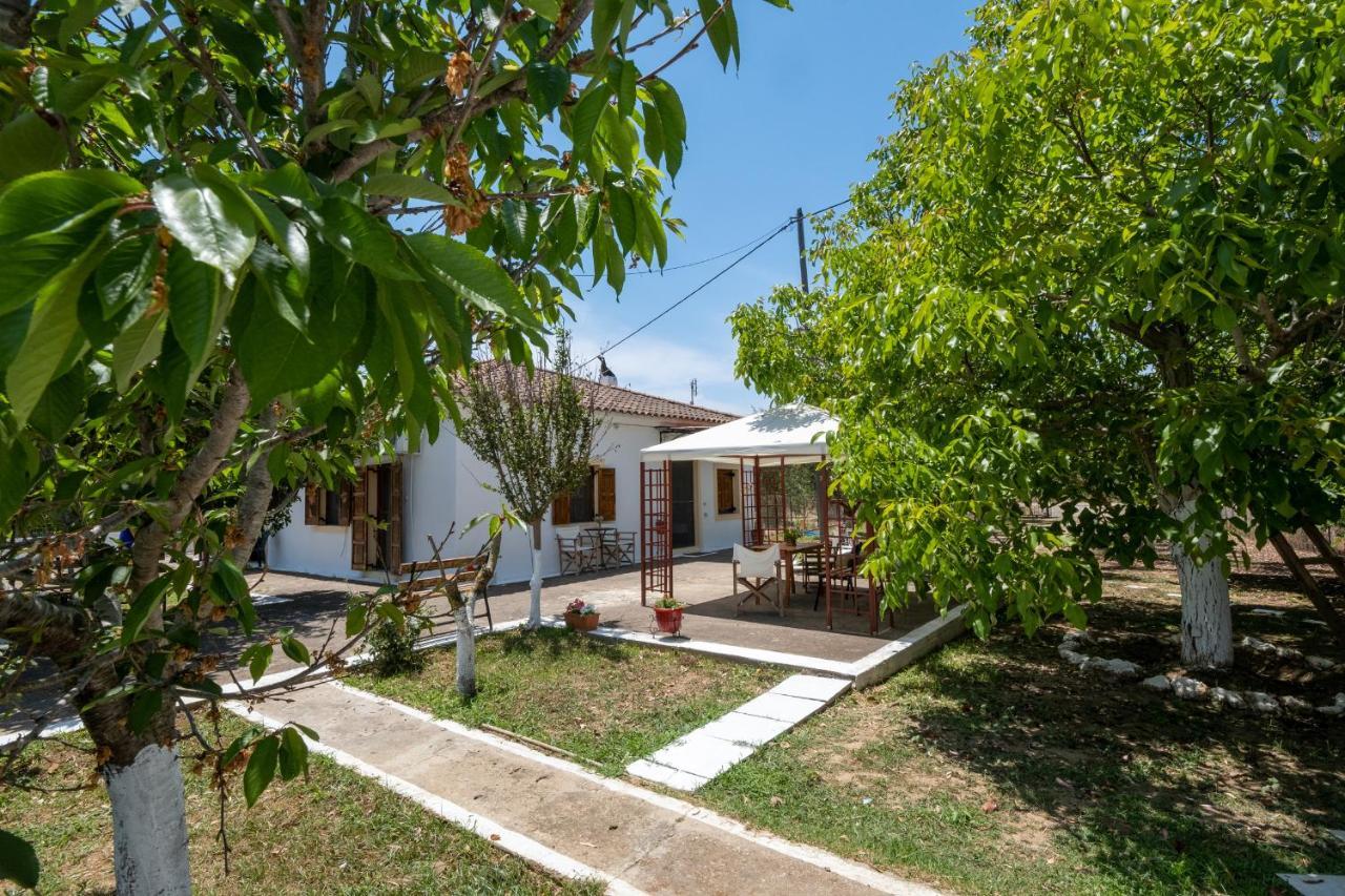Nagia'S House, Εξοχική Κατοικία Κοντά Στη Θάλασσα! Korakochori Bagian luar foto